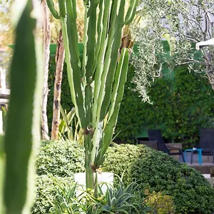 Otel Mercure Centre Notre Dame, Nice
